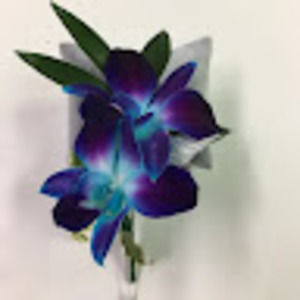 Meet your Posher, Devin